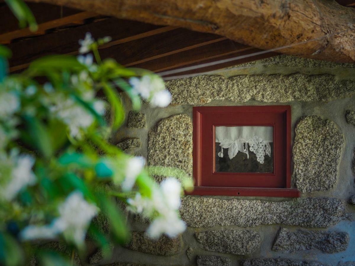 Casa Das Videiras โซอาโจ ภายนอก รูปภาพ