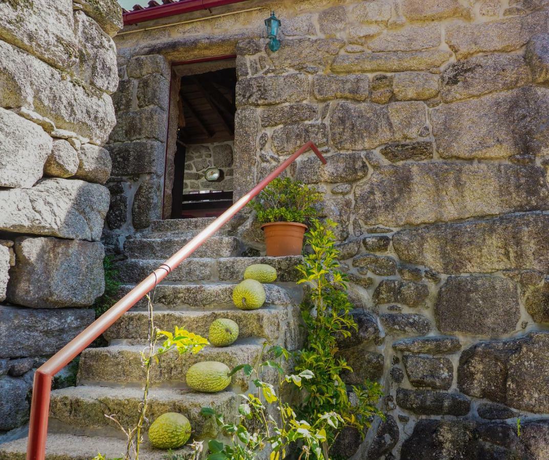 Casa Das Videiras โซอาโจ ภายนอก รูปภาพ