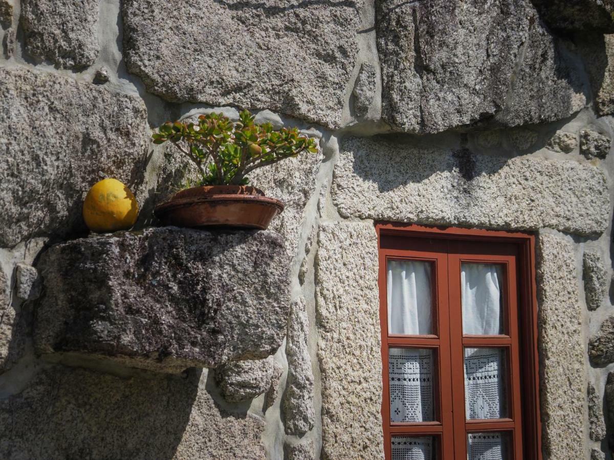 Casa Das Videiras โซอาโจ ภายนอก รูปภาพ